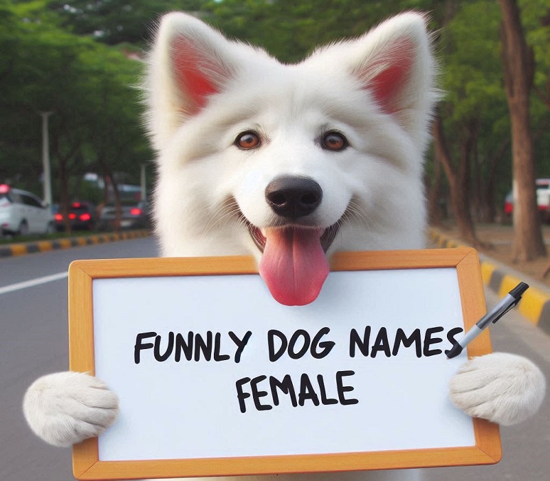 Funny Dog Names Female