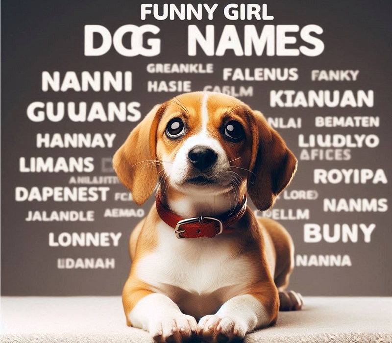 Funny Girl Dog Names Indian