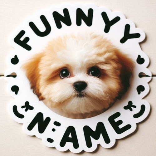 Funny Pet Name