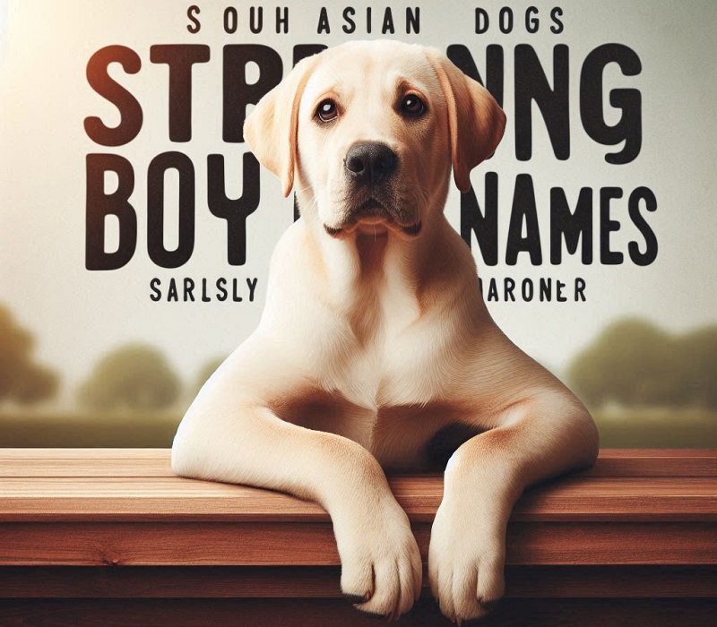 Strong Boy Dog Names