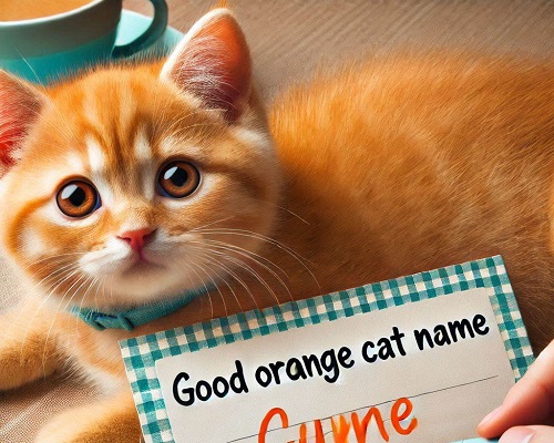 Good Orange Cat Names