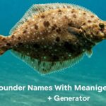 Flounder Names