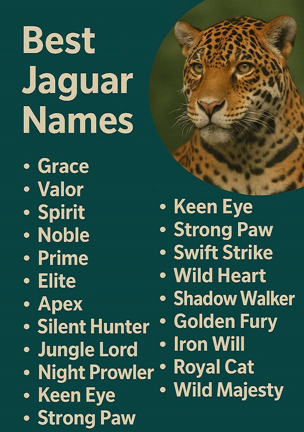 Best Jaguar Names