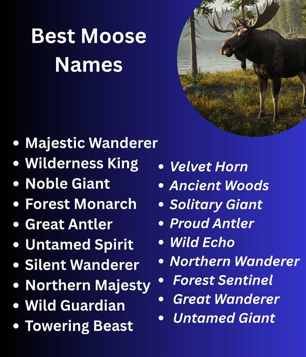 Best Moose Names