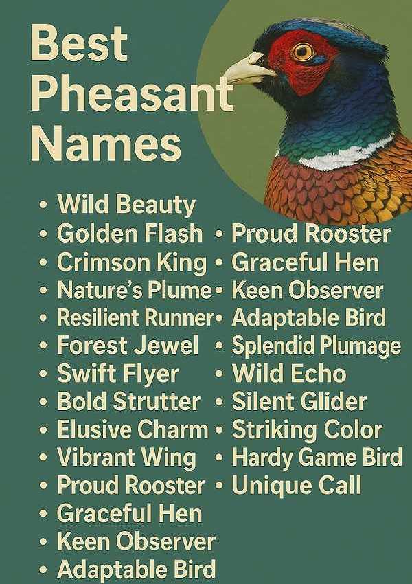 Best Pheasant Names
