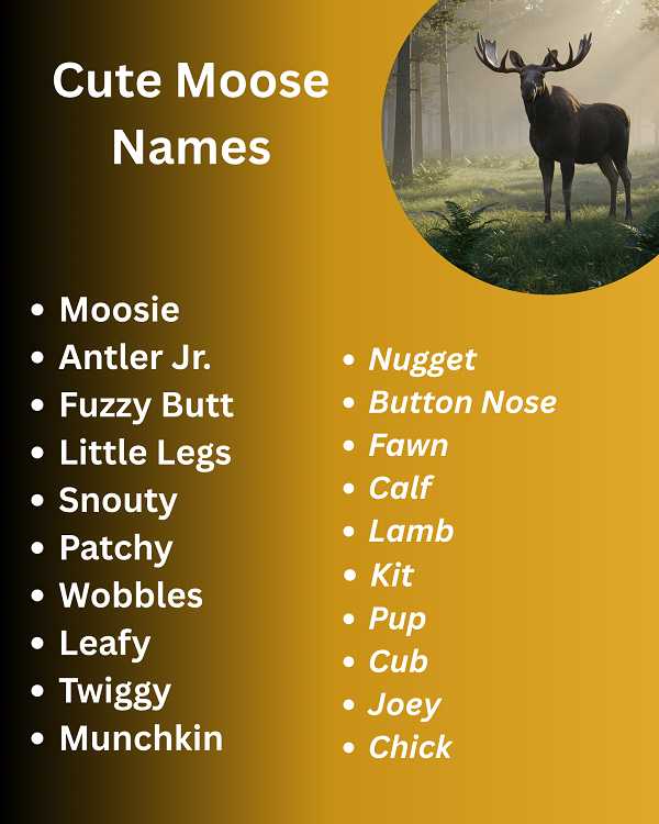 Cute Moose Names