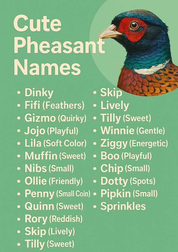 Cute Pheasant Names