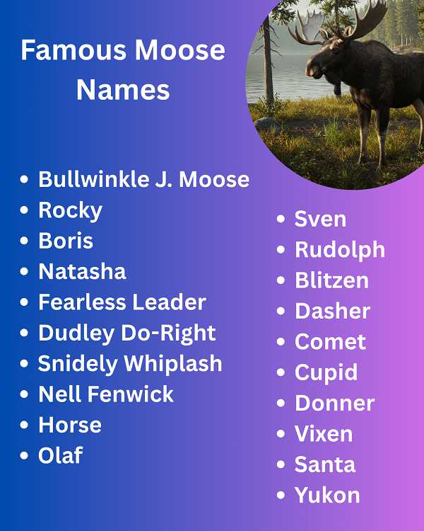 Famous Moose Names