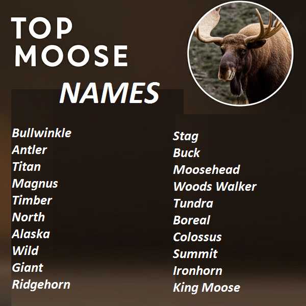 Top Moose Names