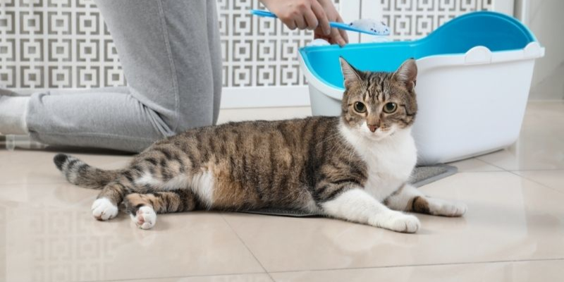 Sử dụng sản phẩm hỗ trợ và thuốc theo chỉ định